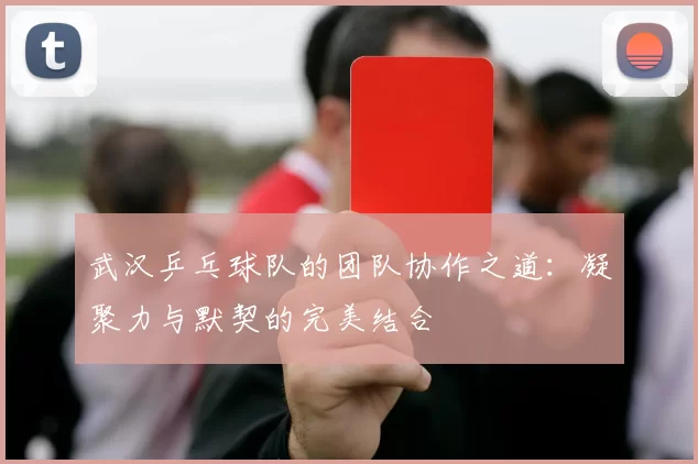 武汉乒乓球队的团队协作之道：凝聚力与默契的完美结合