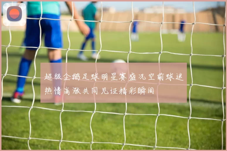 超级企鹅足球明星赛盛况空前球迷热情高涨共同见证精彩瞬间