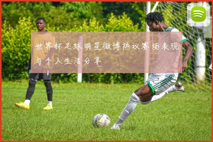 世界杯足球明星微博热议赛场表现与个人生活分享