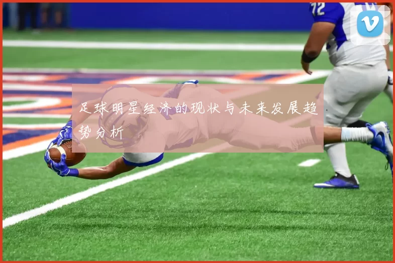足球明星经济的现状与未来发展趋势分析