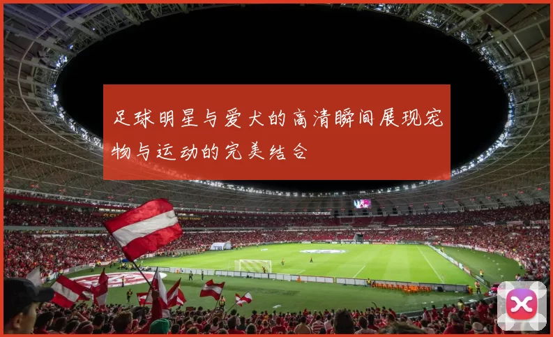 足球明星与爱犬的高清瞬间展现宠物与运动的完美结合
