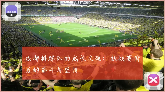 成都排球队的成长之路：挑战赛背后的奋斗与坚持