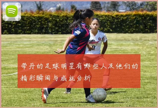 带丹的足球明星有哪些人及他们的精彩瞬间与成就分析