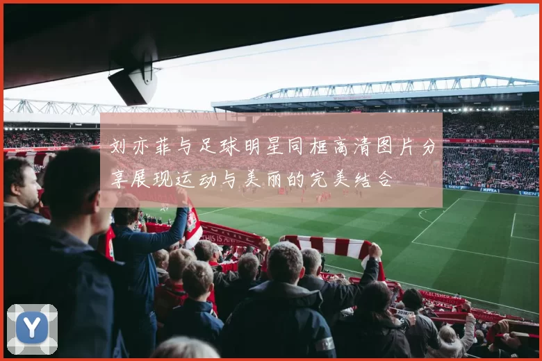 刘亦菲与足球明星同框高清图片分享展现运动与美丽的完美结合