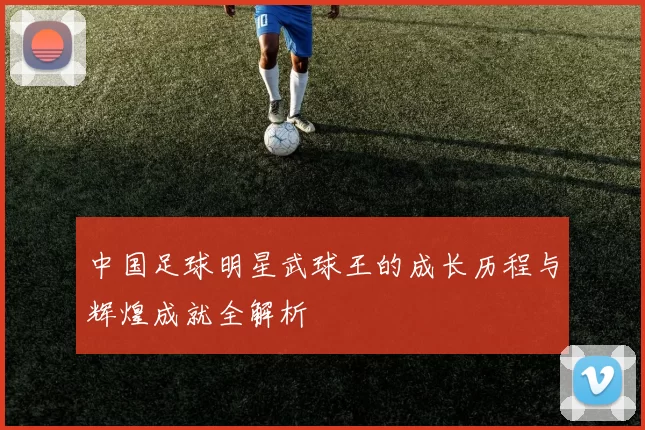 中国足球明星武球王的成长历程与辉煌成就全解析