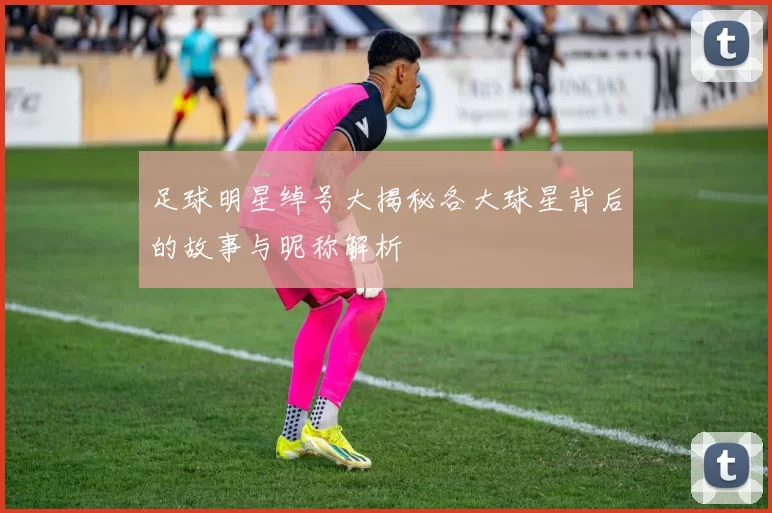 足球明星绰号大揭秘各大球星背后的故事与昵称解析