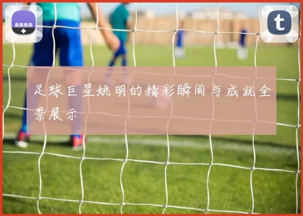 足球巨星姚明的精彩瞬间与成就全景展示