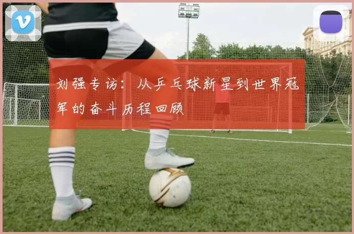 刘强专访：从乒乓球新星到世界冠军的奋斗历程回顾