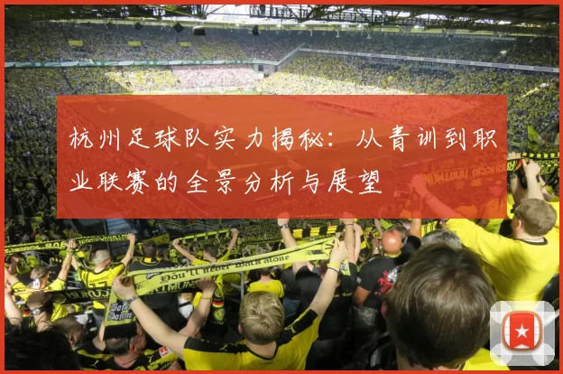杭州足球队实力揭秘：从青训到职业联赛的全景分析与展望