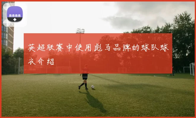 英超联赛中使用彪马品牌的球队球衣介绍