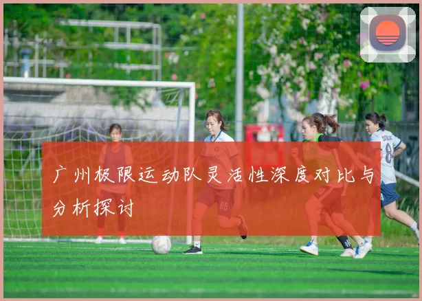 广州极限运动队灵活性深度对比与分析探讨