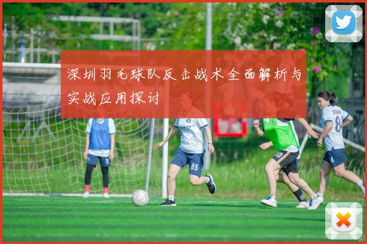 深圳羽毛球队反击战术全面解析与实战应用探讨