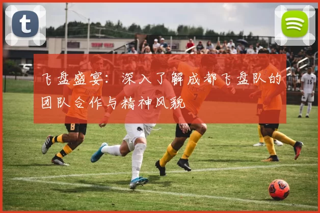 飞盘盛宴：深入了解成都飞盘队的团队合作与精神风貌