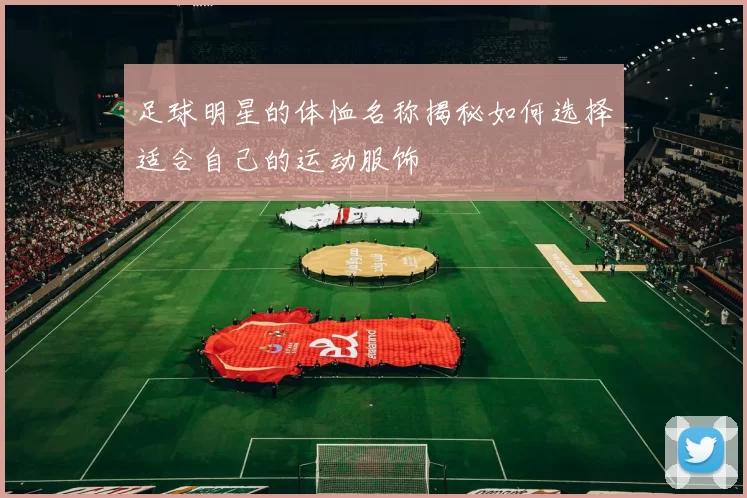 足球明星的体恤名称揭秘如何选择适合自己的运动服饰