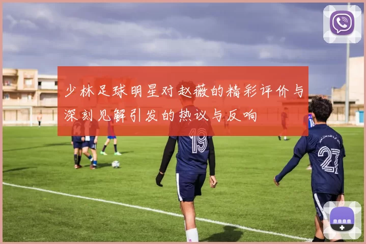 少林足球明星对赵薇的精彩评价与深刻见解引发的热议与反响