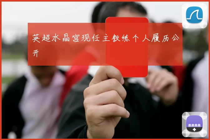 英超水晶宫现任主教练个人履历公开