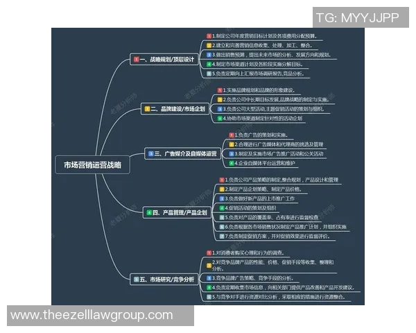深入分析成都排球队的运营策略与市场推广模式