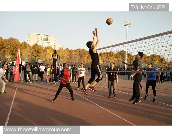 上海排球队的团队协作之道：揭秘排球背后的默契与拼搏精神