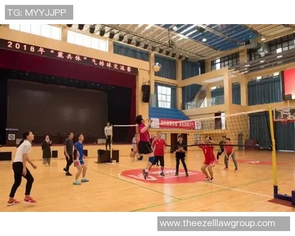 南京排球队在精英赛中的团队协作表现分析与反思